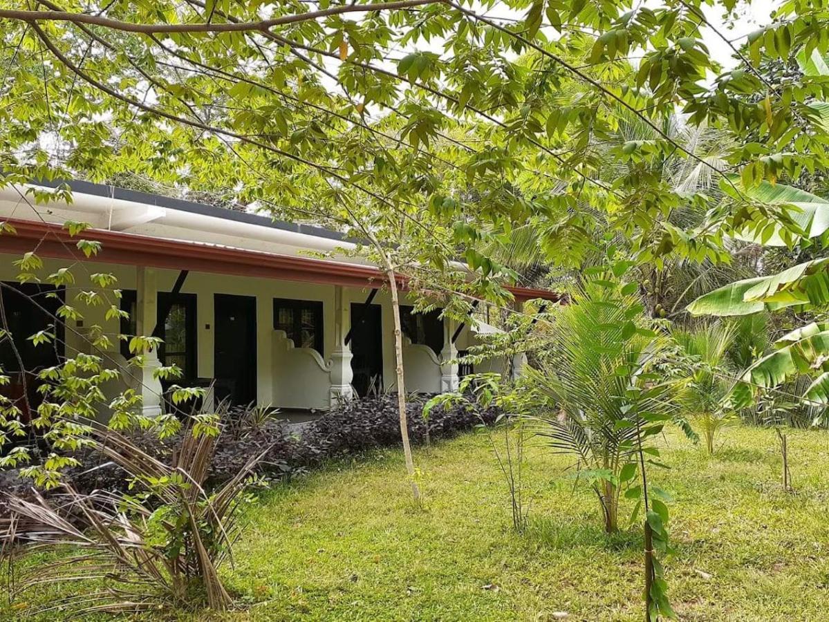 Amron Resort Sigiriya Buitenkant foto
