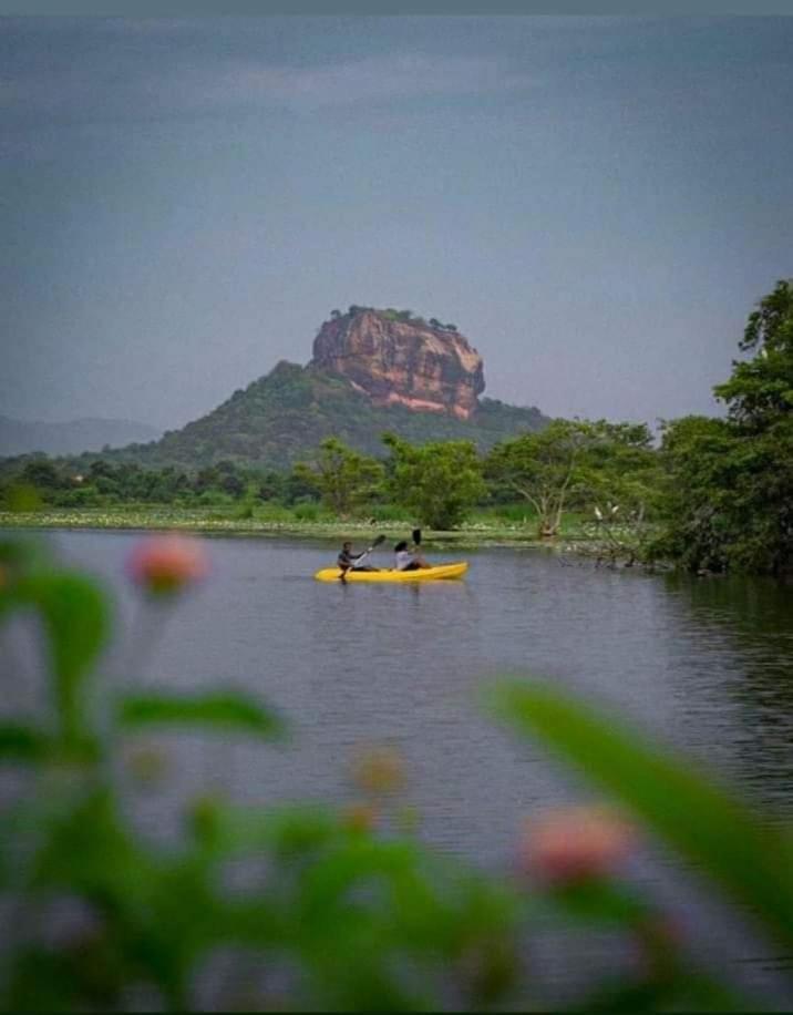 Amron Resort Sigiriya Kamer foto